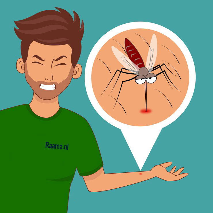 Wanneer is het insectenseizoen in Nederland?